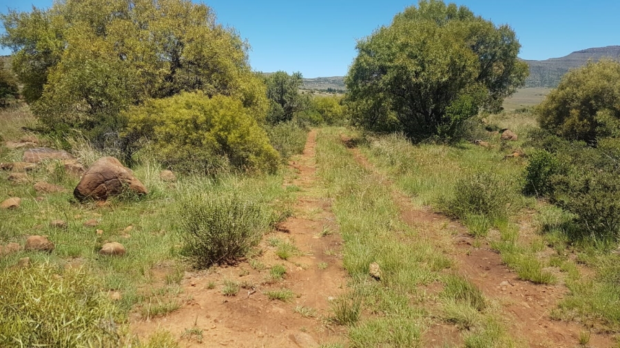 8 Bedroom Property for Sale in Tweespruit Free State